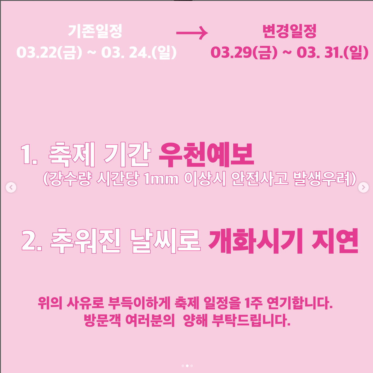 대릉원돌담길벚꽃축제 일정변경