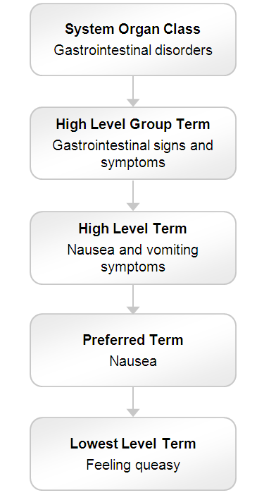 이상사례를 MedDRA 계층 구조로 코딩하는 예시