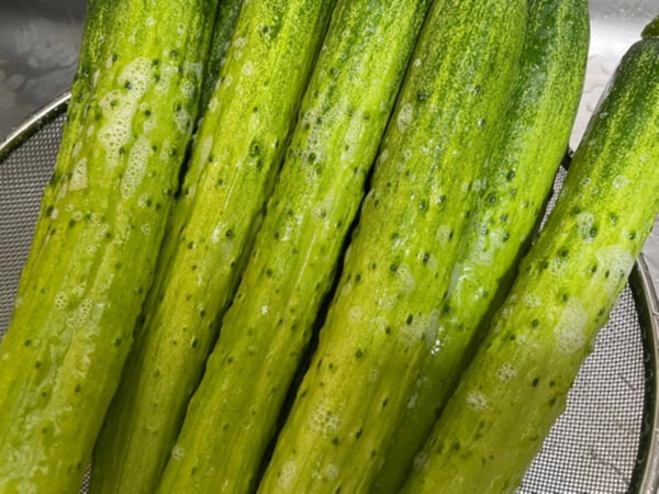 오이지 오이 세척 - 세정제로 문질러서 깨끗하게 헹구기