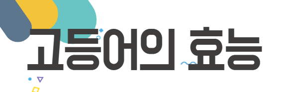 고등어의 효능