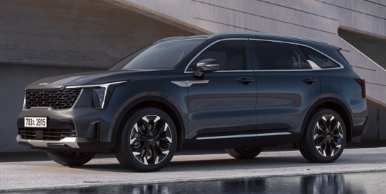 25년 12월 자동차 판매량 순위