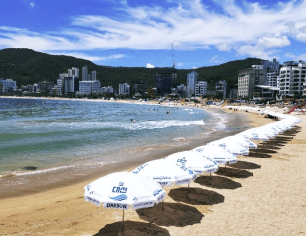 해수욕장 개장일정