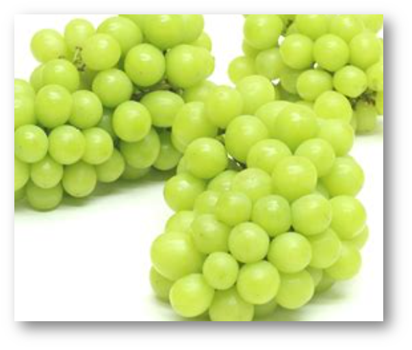 샤인머스켓 효능2