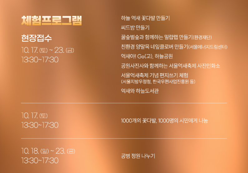 ▲ 제25회 하늘공원 서울억새축제 (출처 : 서울시)