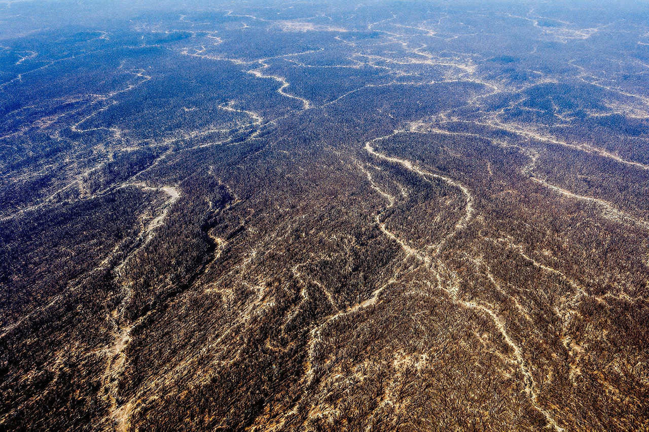 산불로 인해 파괴된 광범위한 산림지역