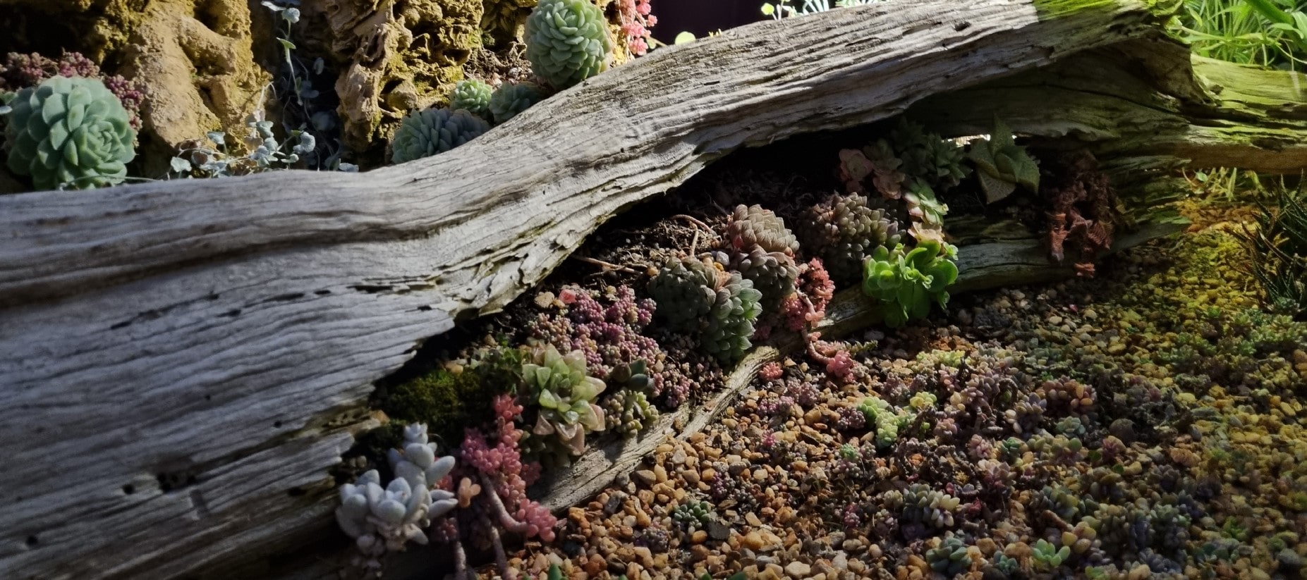 가든스 바이 더 베이 플라워 돔