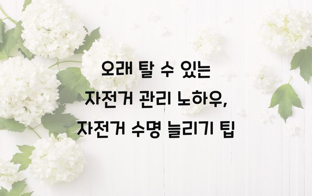 오래 탈 수 있는 자전거 관리 노하우
