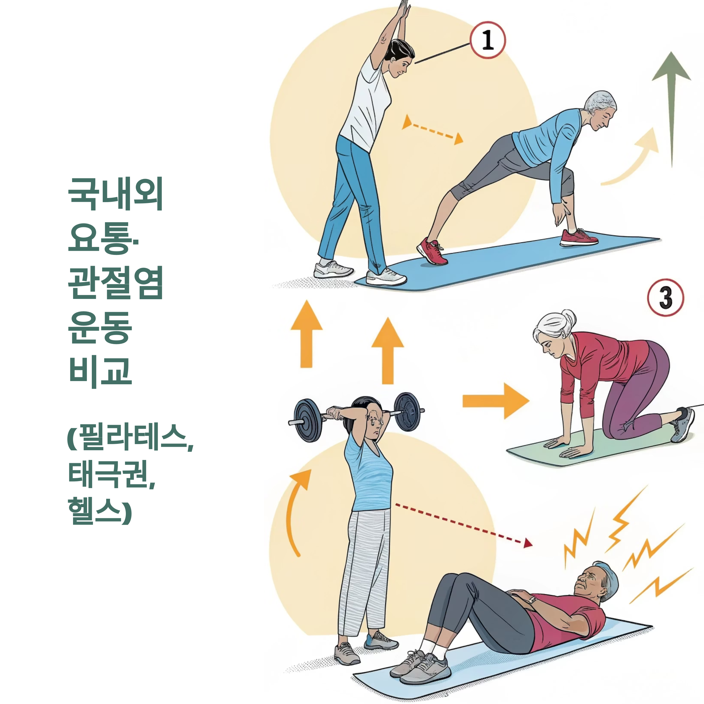 국내외 요통 관절염 운동비교