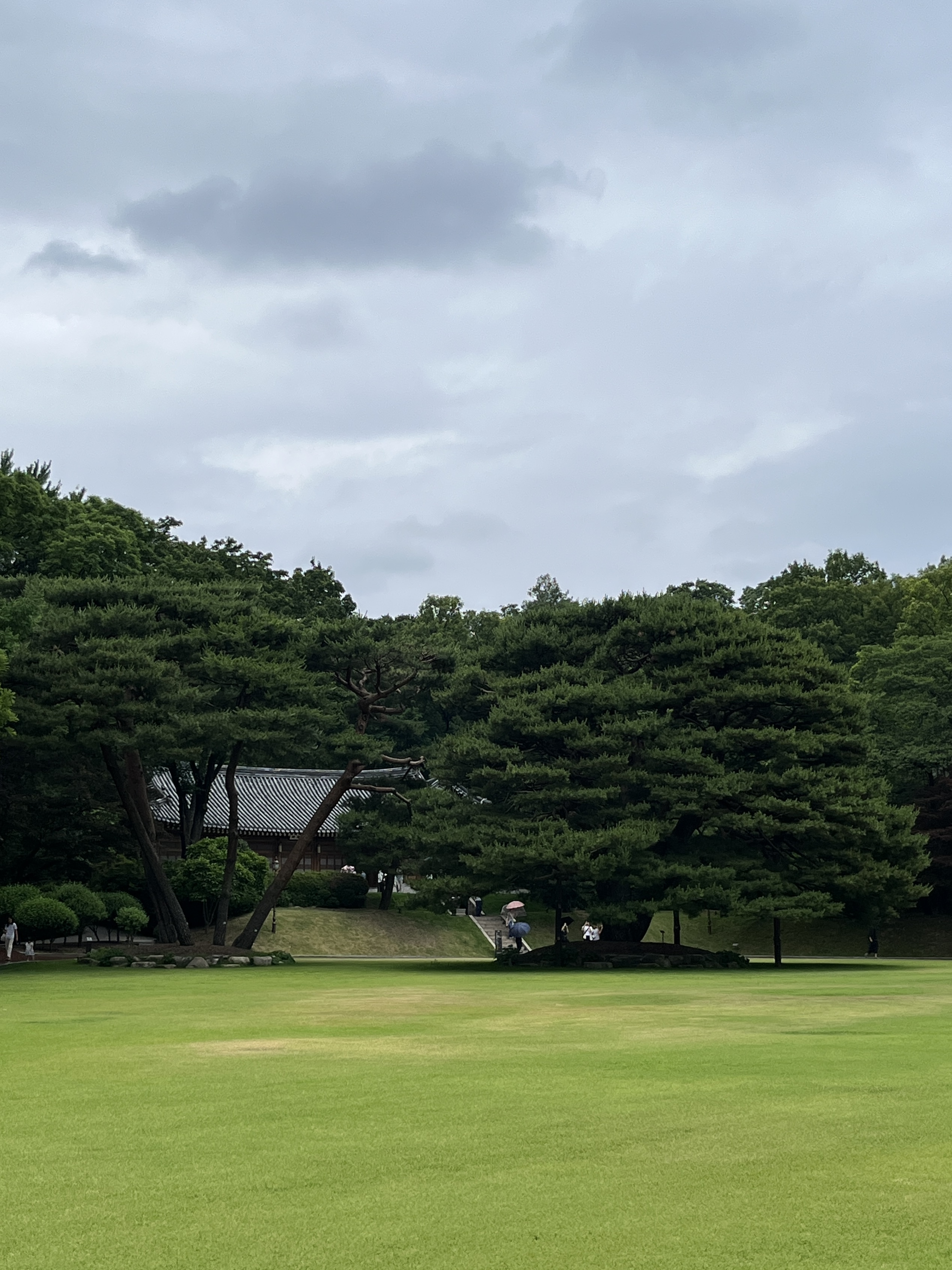 청와대 관람후기