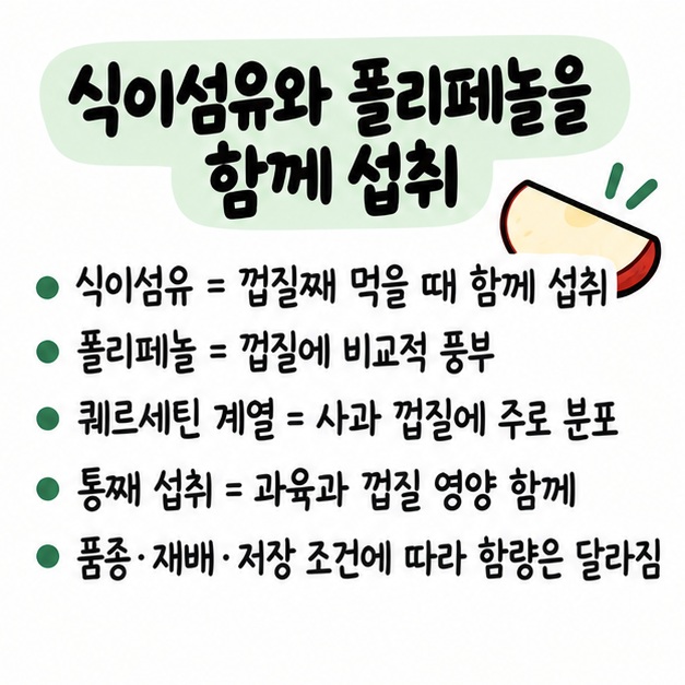 사과 껍질에는 식이섬유와 폴리페놀, 퀘르세틴 계열 같은 식물성 성분이 비교적 풍부하다는 영양 카드