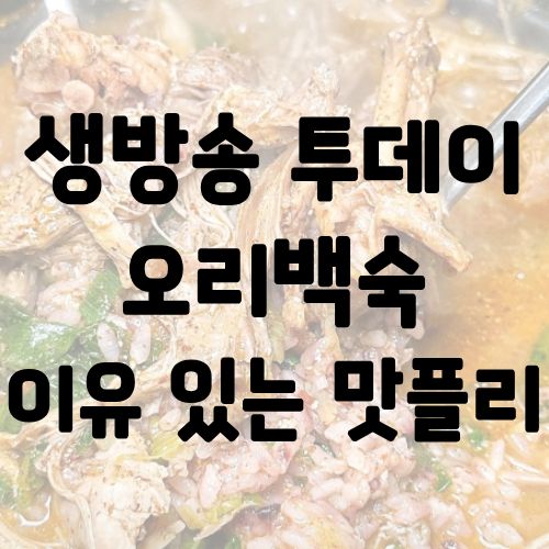 생방송 투데이 오리백숙 이유 있는 맛플리