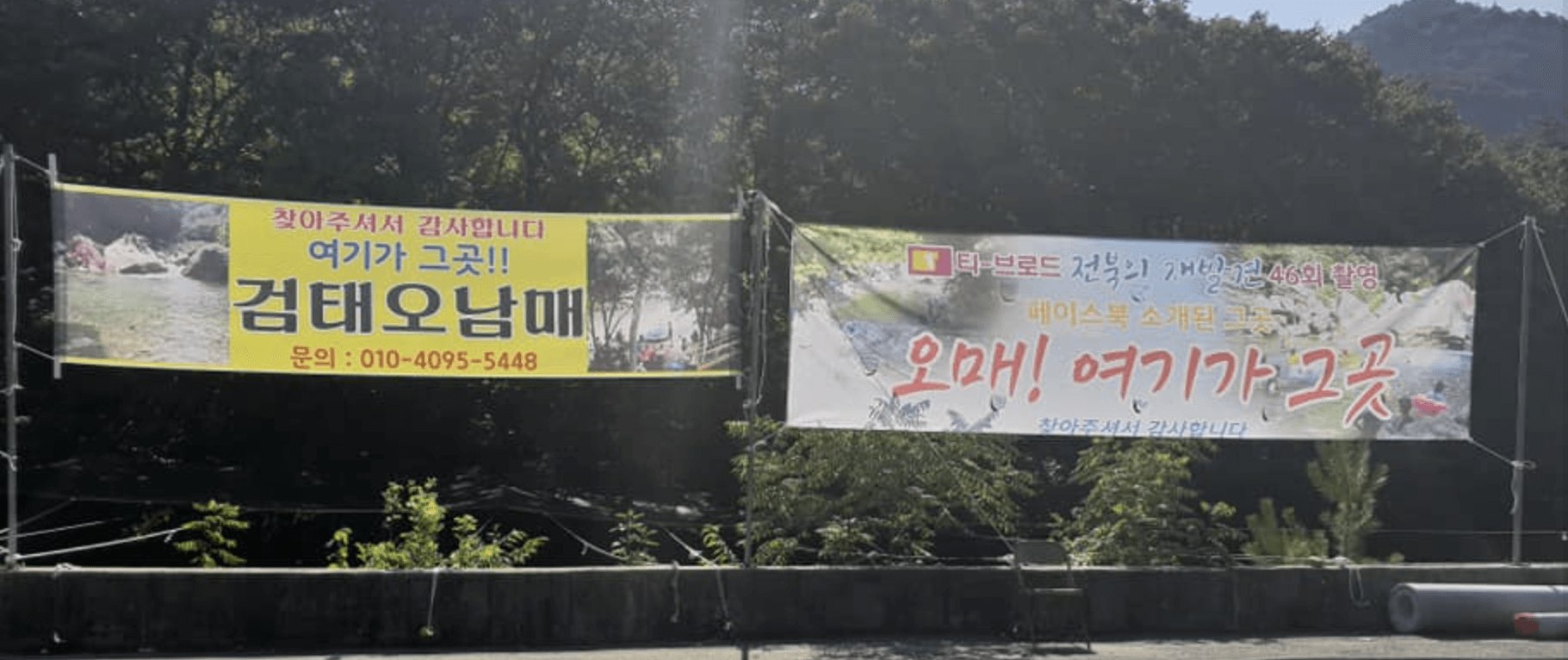 검태오남매