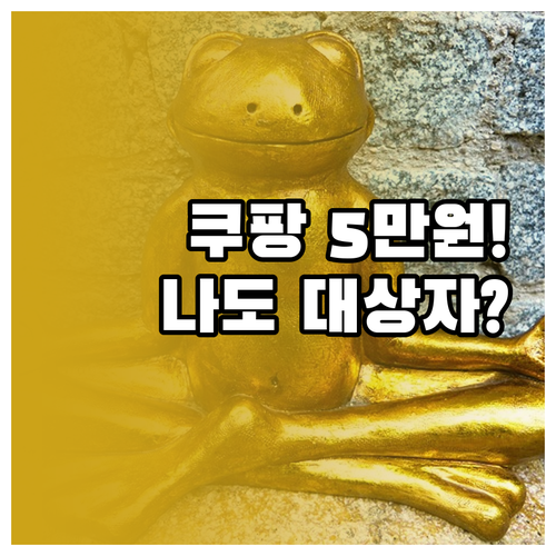 쿠팡 개인정보 유출 5만원 보상 판결..