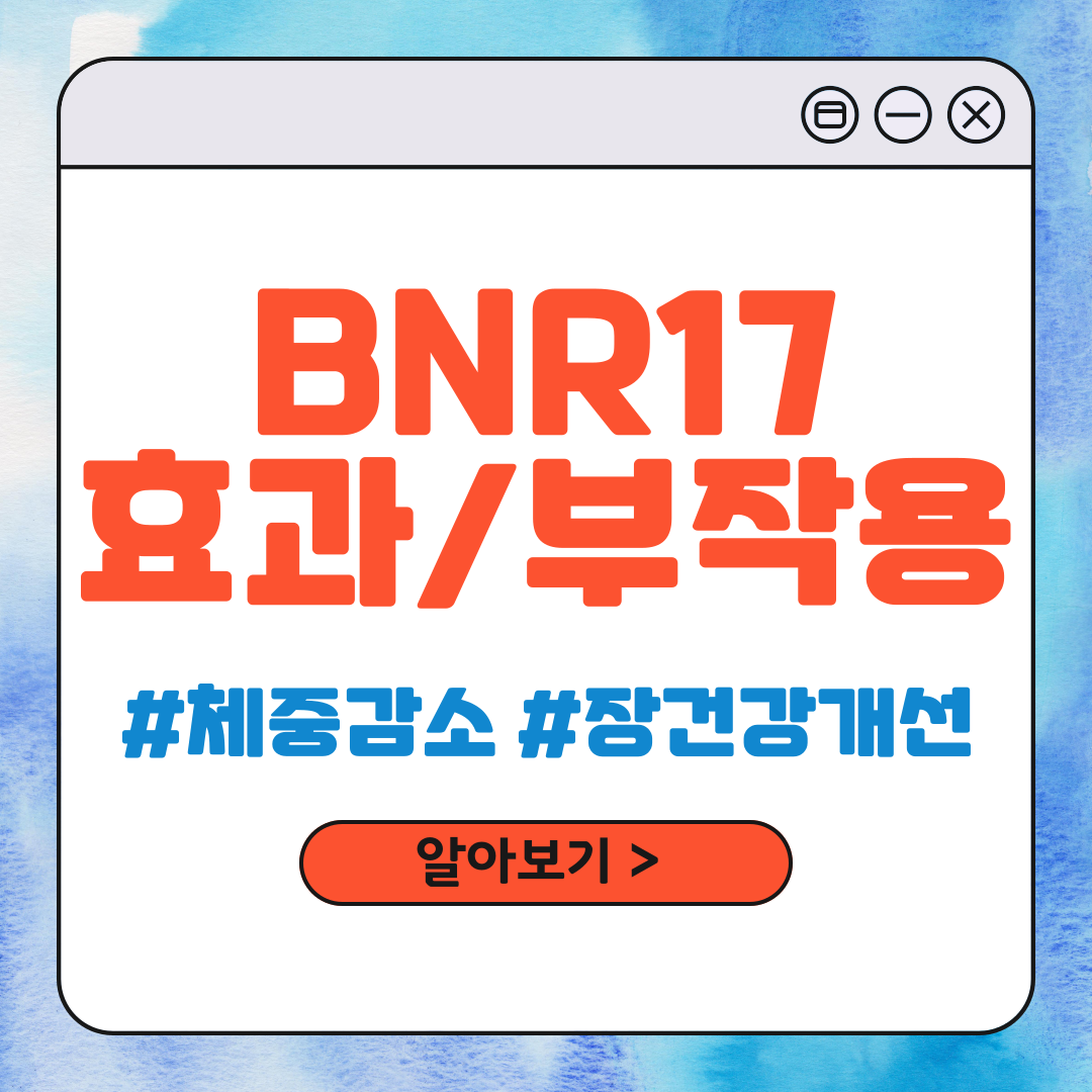 BNR17
