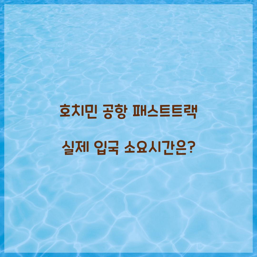 호치민 공항 패스트트랙 실제 입국