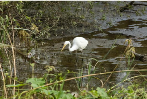 한강페스티벌 여의도한강공원