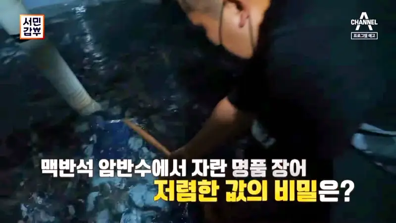 전국 택배 온라인 전화 주문 가능 연매출 70억 지하 450M 암반수 민물장어 장어탕 장어곰탕 장어덮밥 장어 구이 맛있는 식당 경북 예천 맛집 서민갑부 방송 정보