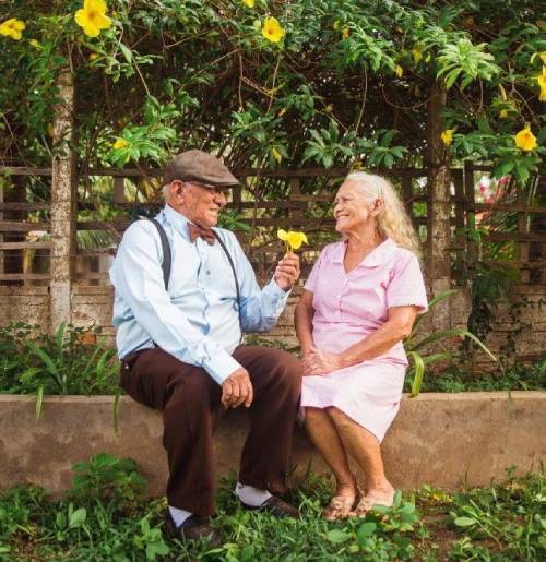 실버스테이 비교