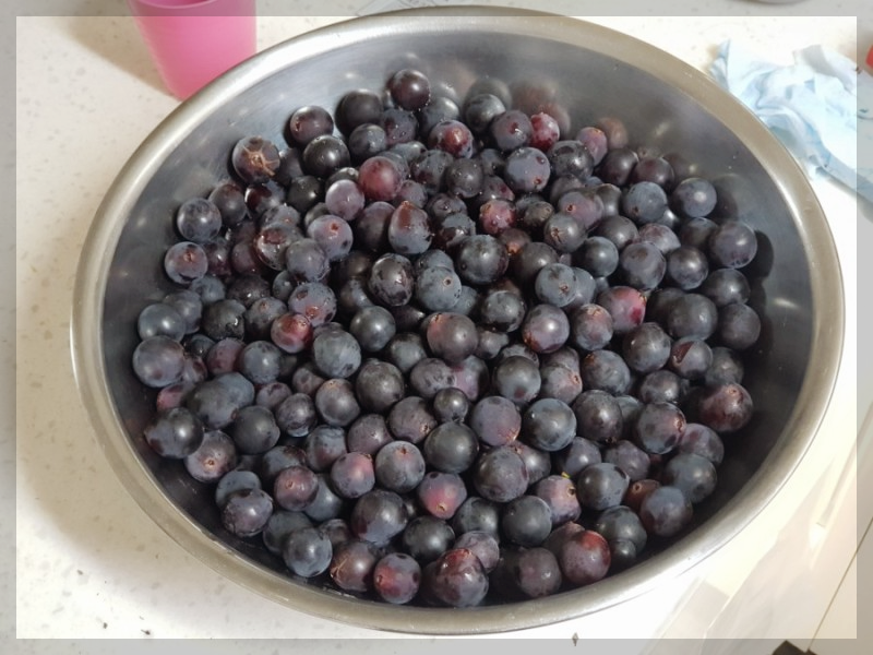 포도주-담그는-방법