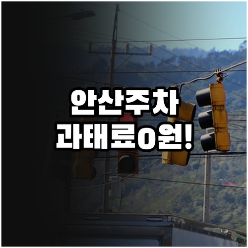 안산시 주정차 단속 알림 신청 방법 ..