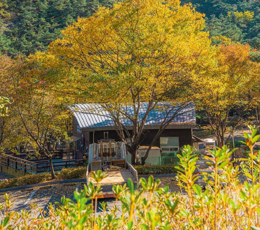 화원자연휴양림