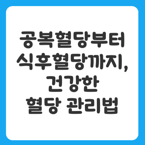 공복혈당부터 식후혈당까지, 건강한 혈당 관리법