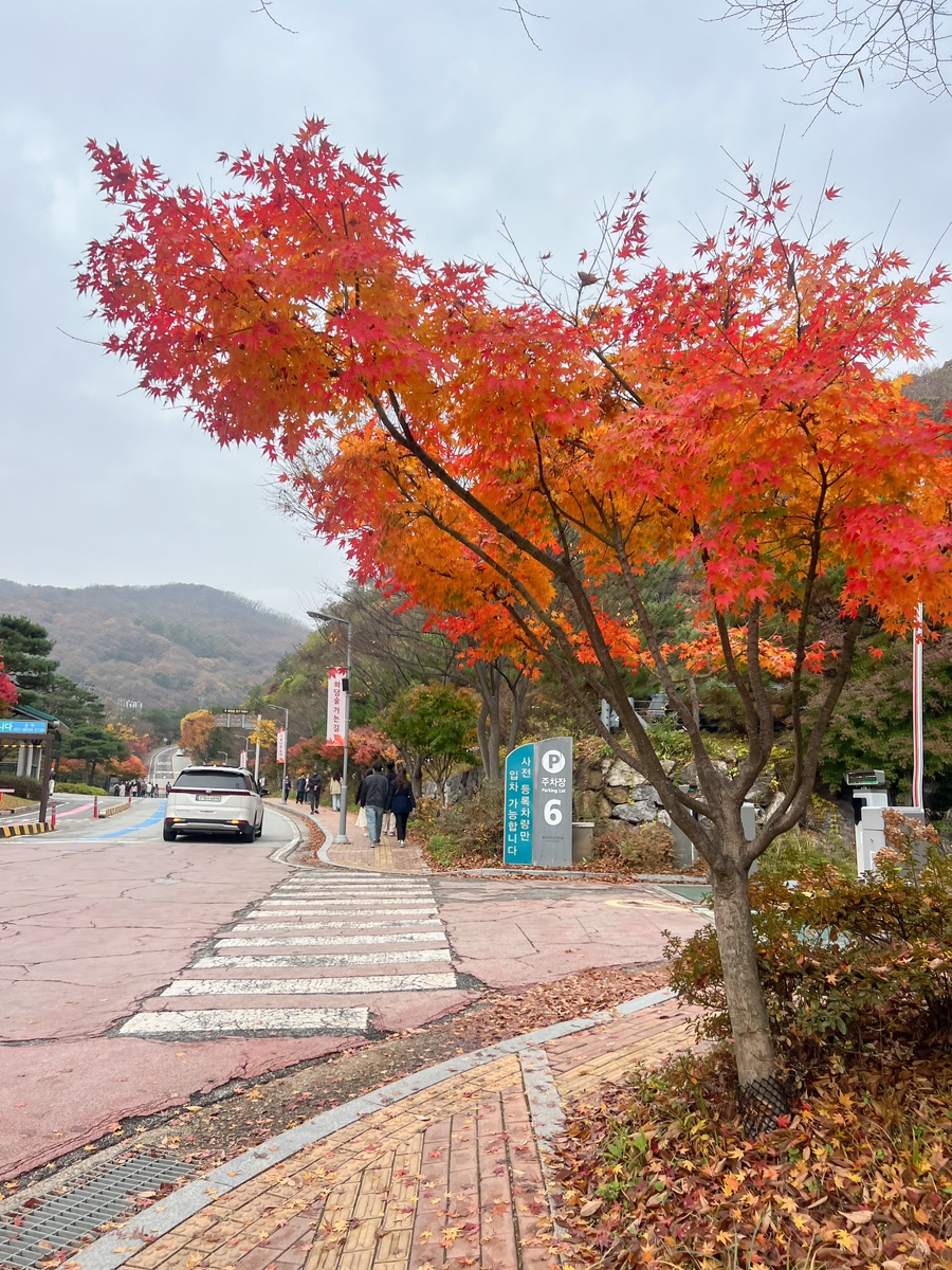 곤지암-화담숲-예약-전쟁-승리-2025년-최신-정보-총정리