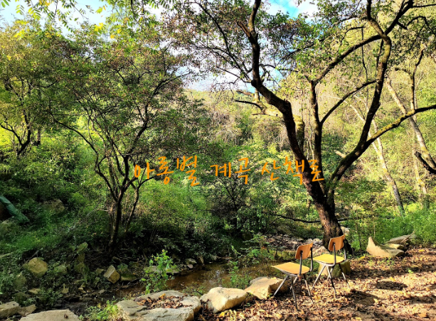 경기-포천-아롱별-캠핑장-사진-입니다.