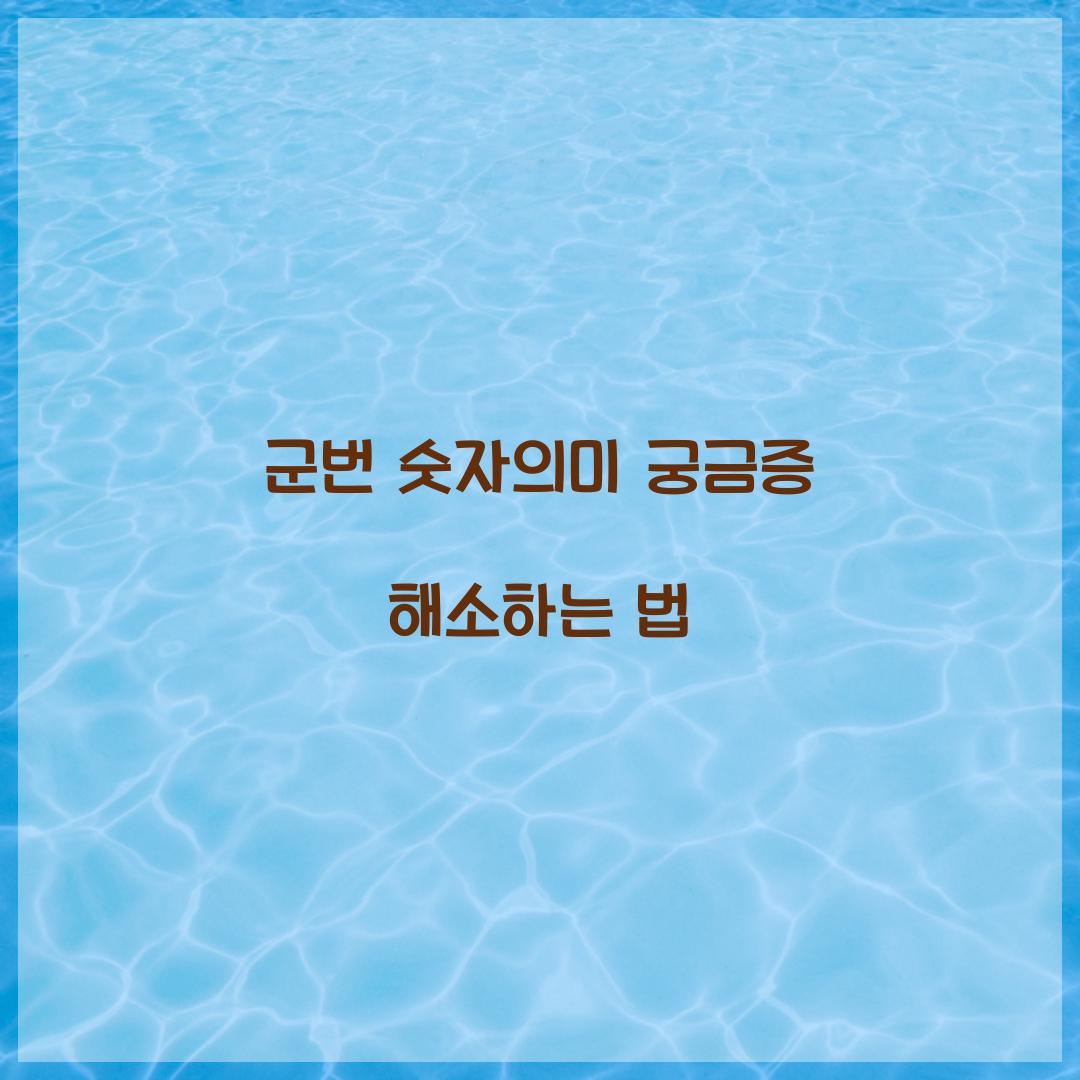 군번 숫자의미