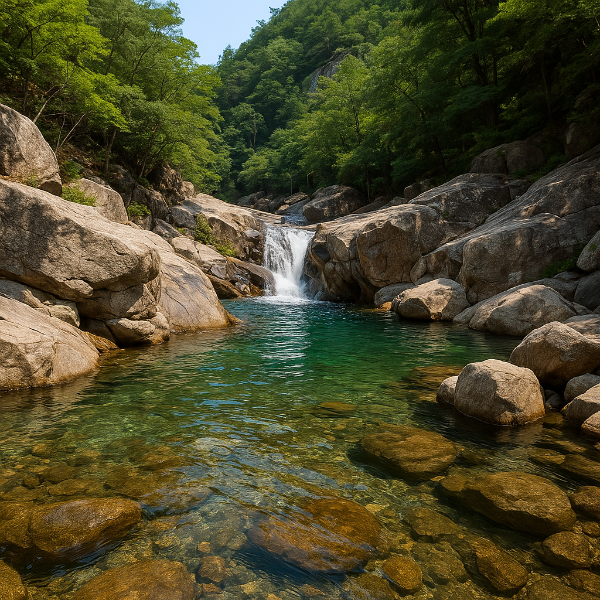 묵리계곡 ❘ 용인의 숨겨진 여름 피서지