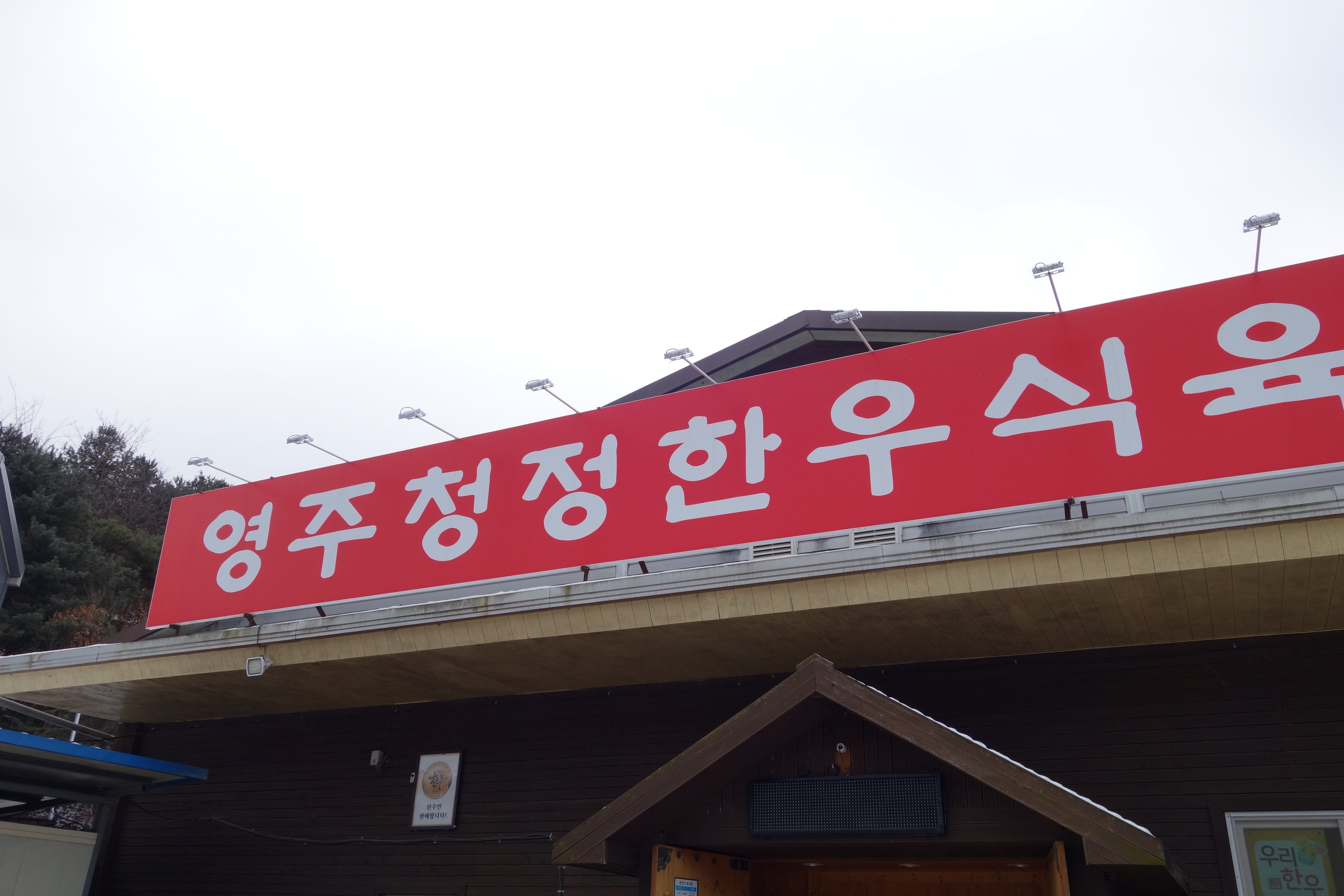 영주 청정 한우 방문기: 비교불가의 맛과 경험
