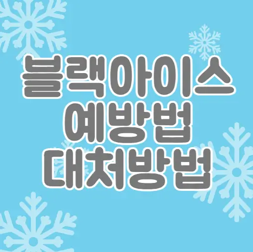 블랙아이스 예방법 대처방법