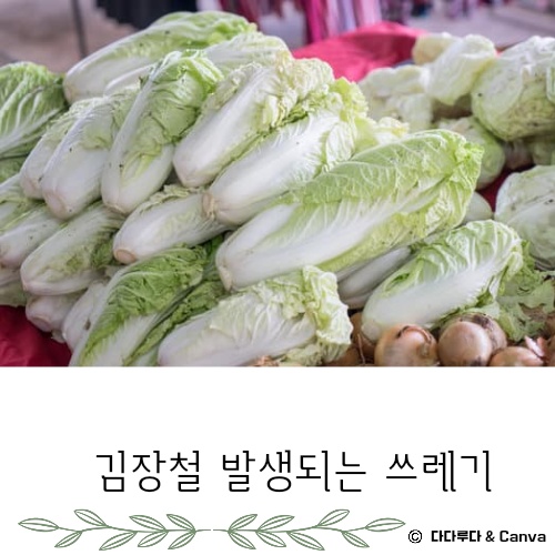 김장쓰레기 배출방법 배출요령 인천시, 서울시