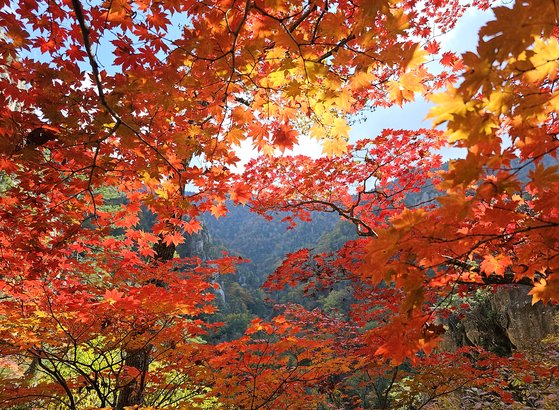 북한산 단풍