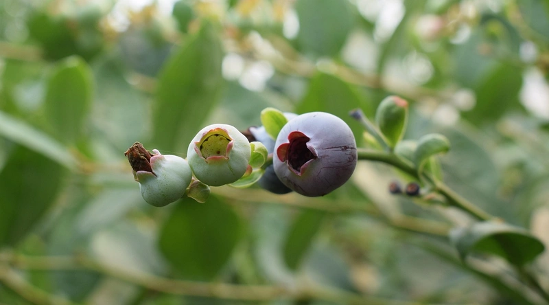 공장 바닥 에폭시