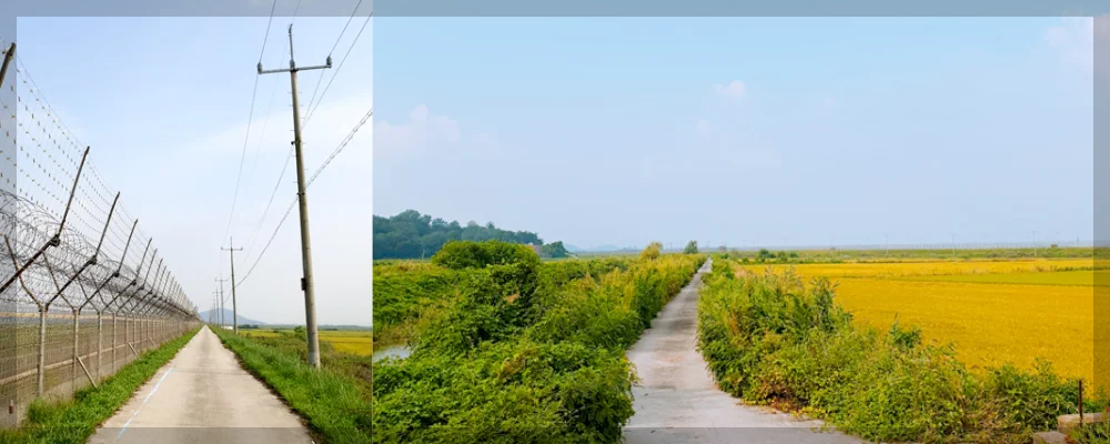 2023 김포세계인축제, 김포한강 철책길 산책 여행 알아보기