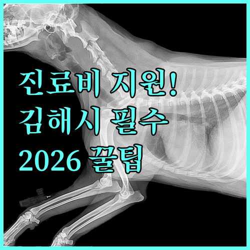 김해시 반려동물 진료비 지원 사업 2..