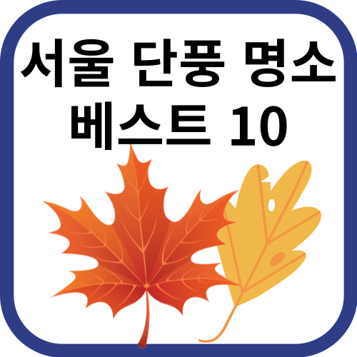 단풍잎