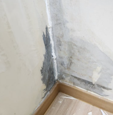 원룸도배몰딩교체