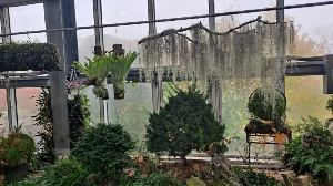 화성_우리꽃식물원_국화전시회