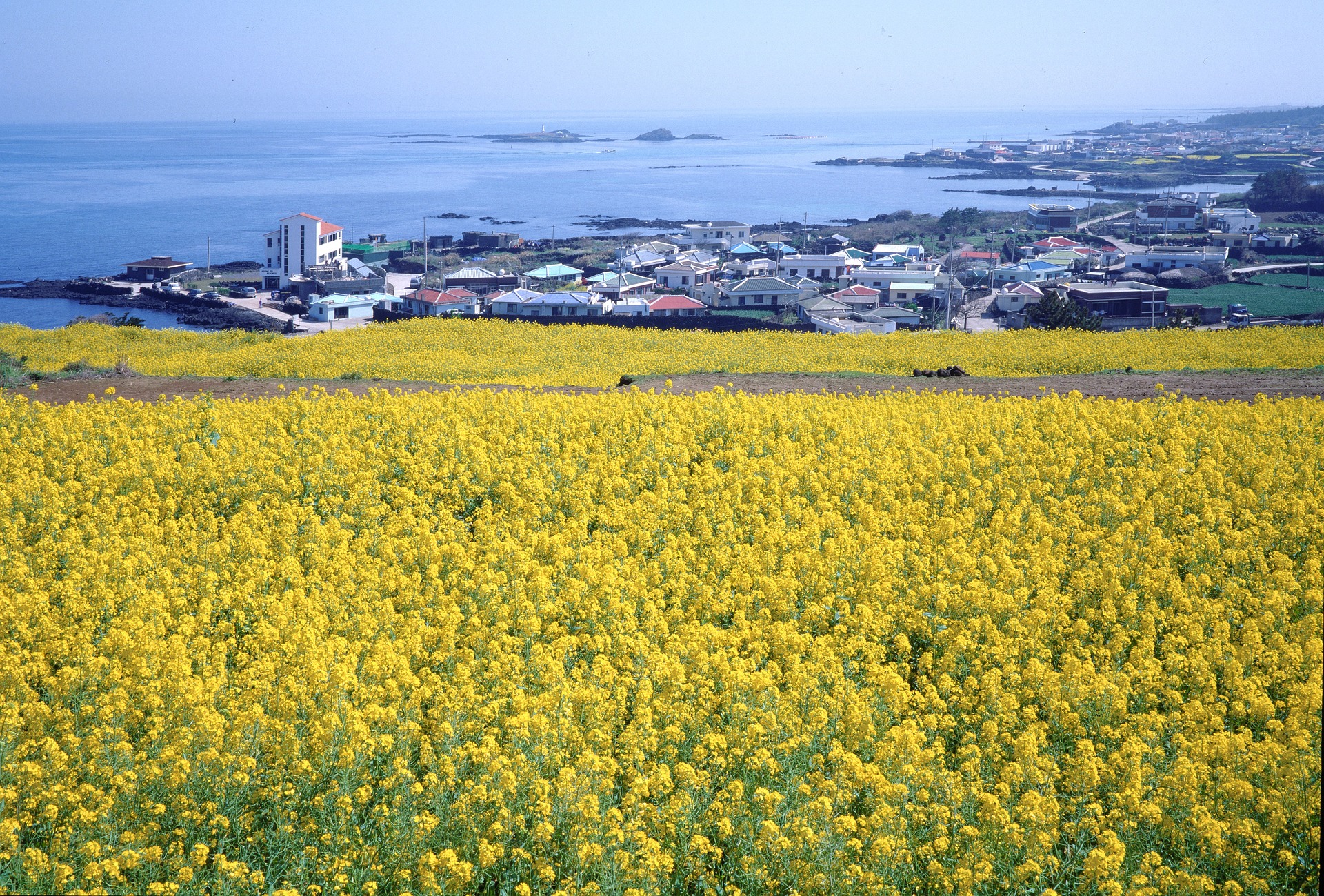제주도 여행 관련 사진