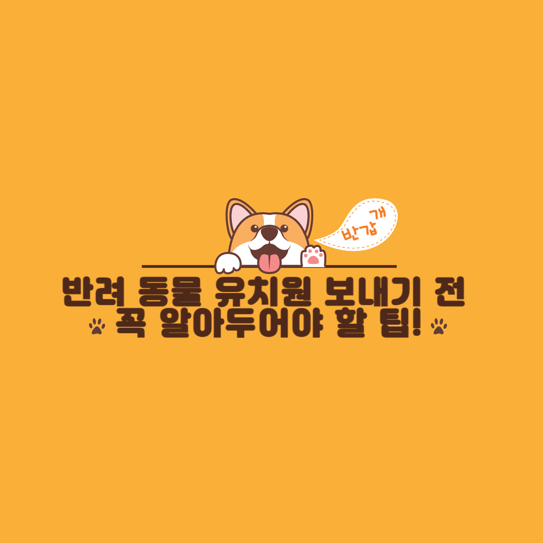반려 동물 유치원 보내기 전 꼭 알아두어야 할 팁 썸네일