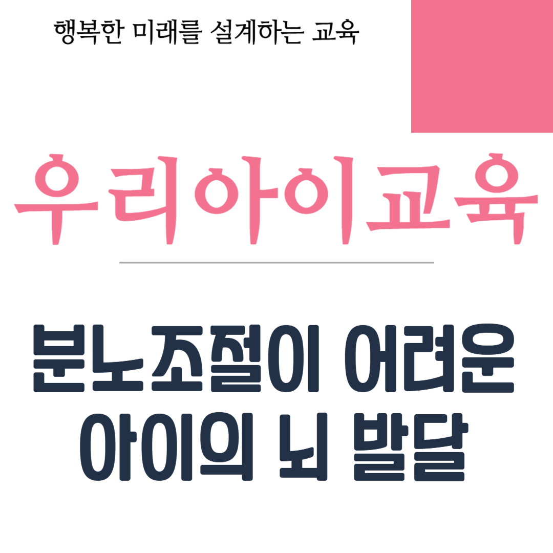 분노조절이 어려운 아이의 뇌 발달