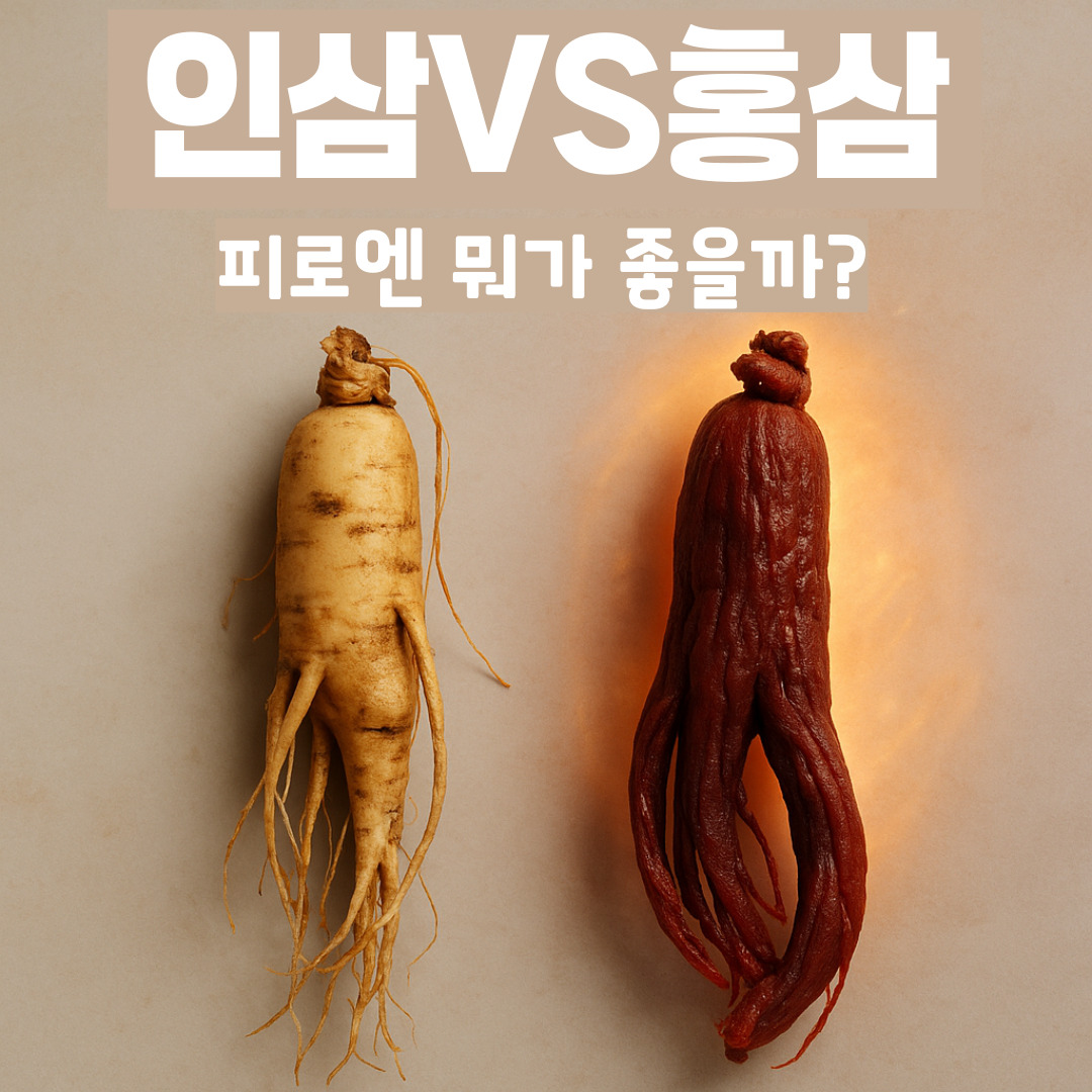 인삼VS홈삼 피로엔 뭐가 좋을까?