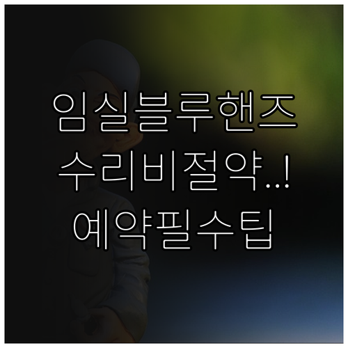 임실 현대자동차 블루핸즈 점검 예약과..