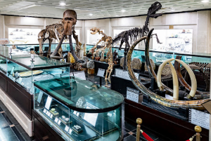 이색 여행지 BEST 4