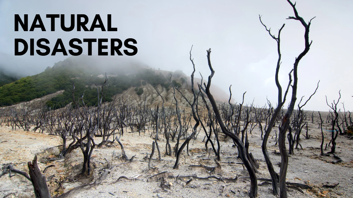 기후위기에 대한 이미지입니다