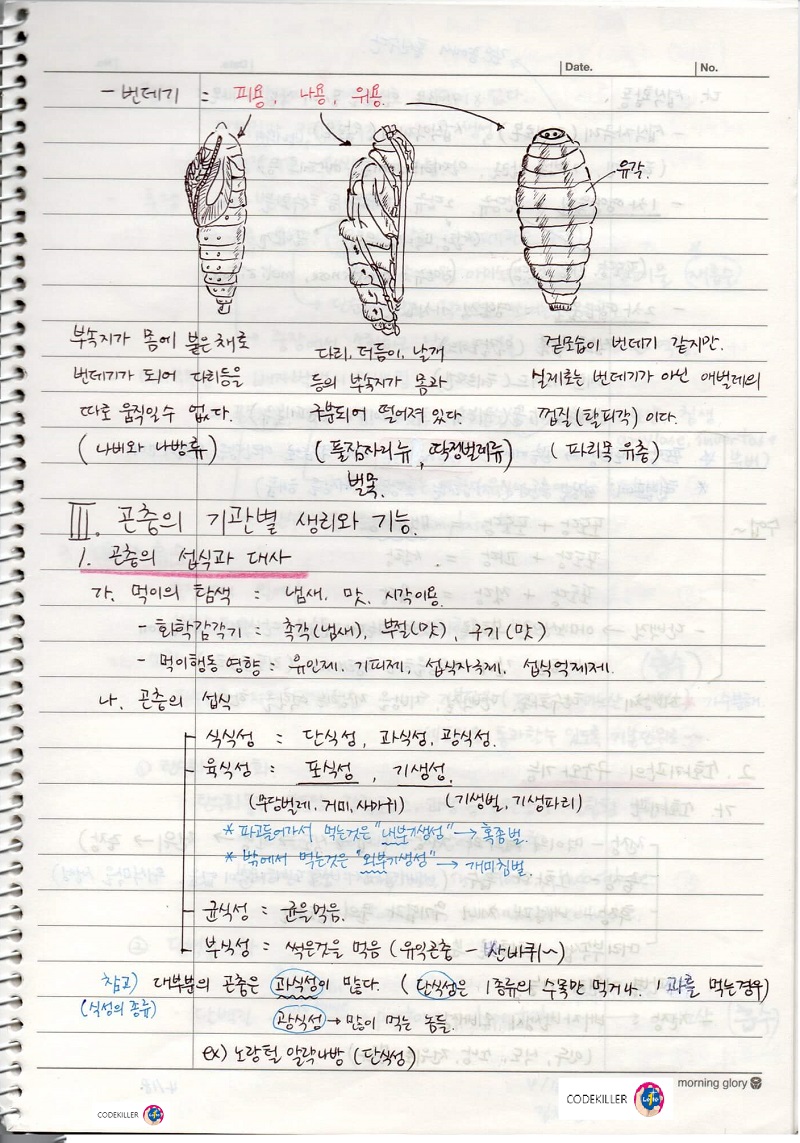 곤충의 섭식과 대사