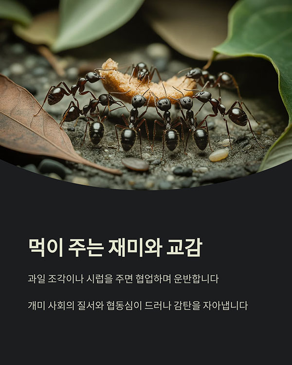 먹이 주는 재미, 생명체와의 교감