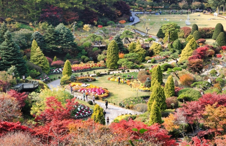 아침고요수목원